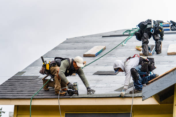 Professional Roofing technician working in Steilacoom, WA